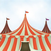 Be Part of a Circus