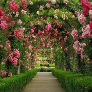 Butchart Gardens, BC, Canada