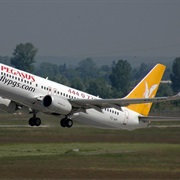 Pegasus Airlines