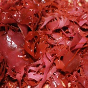 Tosaka-Nori (Meristotheca Papulosa)