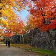 Morioka Castle