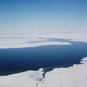 Polynya/Polynia