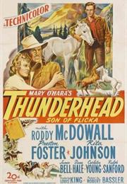 Thunderhead, Son of Flicka (Louis King)