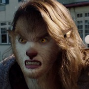 Fuchsbau - Fox Wesen