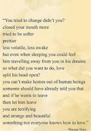 Fat Bottom Girl Said What (Warsan Shire)