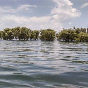 Tanguar Hawor, Sylhet