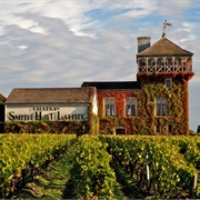 Château Smith Haut Lafitte
