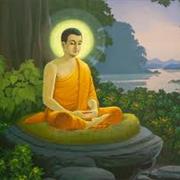 Find Meaning of Life