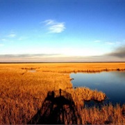 Kolkheti National Park, Georgia