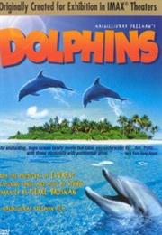 Dolphins