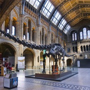 Natural History Museum