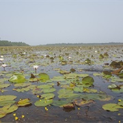 Parque Natural Das Lagoas De Cufada, Guinea-Bissau