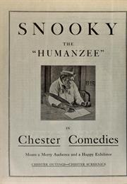 Ready to Serve - Snooky the Humanzee