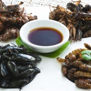 Bugs in Soy Sauce