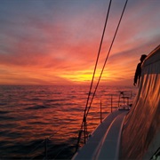 Sunset Catamaran Cruise