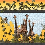 Animated Jigsaws: Wild Animals