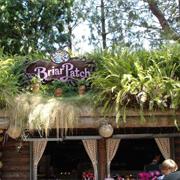 Briar Patch (1988-Present)