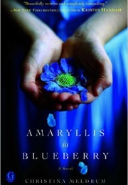 Amaryllis in Blueberry (Christina Meldrum)
