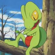 Treecko