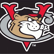 Tri-City Valleycats (SS)