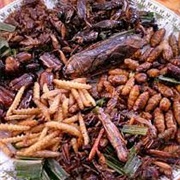 African Insect Platter