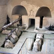 Caves of Maresha and Bet-Guvrin in the Judean Lowlands as a Microcosm