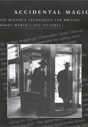 Accidental Magic: The Wizard's Techniques for Writing Words Worth 1000 Pictures (Roy H. Williams)