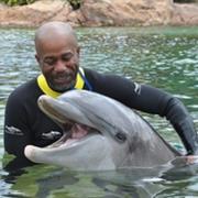 CRACKED EARWIGS - MEAT LOAVES & THE BLOWFISH