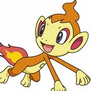 Chimchar
