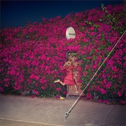 Feist, Pleasure
