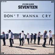 Seventeen Don&#39;t Wanna Cry