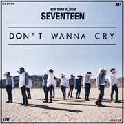 Seventeen Don't Wanna Cry