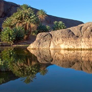 Fint Oasis, Morocco