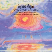 Sonnenflammen (S. Wagner)