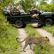 Leopard Safari in Wilpattu NP, Sri Lanka