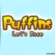 Puffins Let's Race
