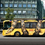 Snake Bus