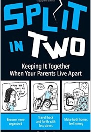 Split in Two: Keeping It Together When Your Parents Live Apart (Karen Buscemi)