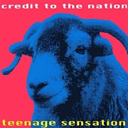 Teenage Sensation - Credit to the Nation