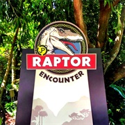 Raptor Encounter