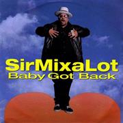 Sir Mix-A-Lot