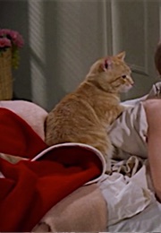 "Cat," Breakfast at Tiffany's (1961)