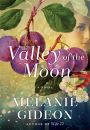 The Valley of the Moon (Melanie Gideon)