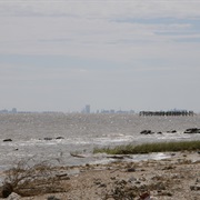 Galveston Bay