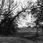 Whiteford (Price) Site