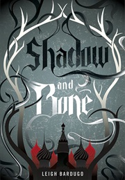 Seige and Storm (Leigh Bardugo)