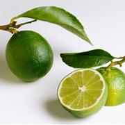 Key Lime