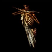 Lunar AurorA - Zyklus