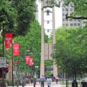 Temple University