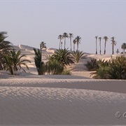 Douz, La Porte Du Desert